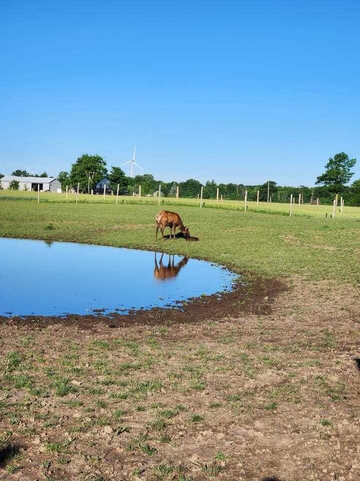 Liquid Level Monitoring Solutions on a Farm