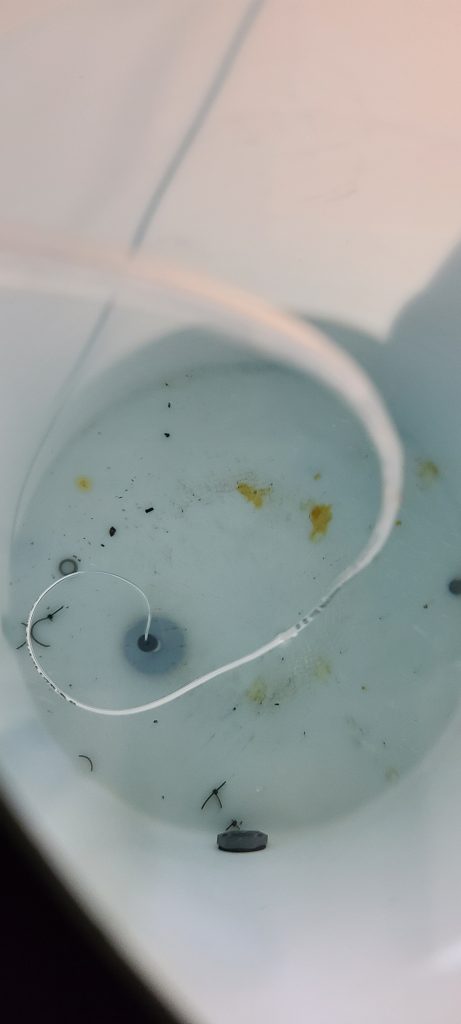 Understanding Greywater Systems; A Sustainable Water Solution - ParemTech - Because Greywater Is Relatively Safe